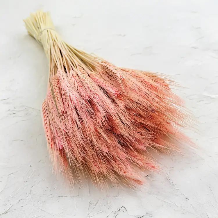 Pszenżyto suszone różowe triticale bukiet 7.png