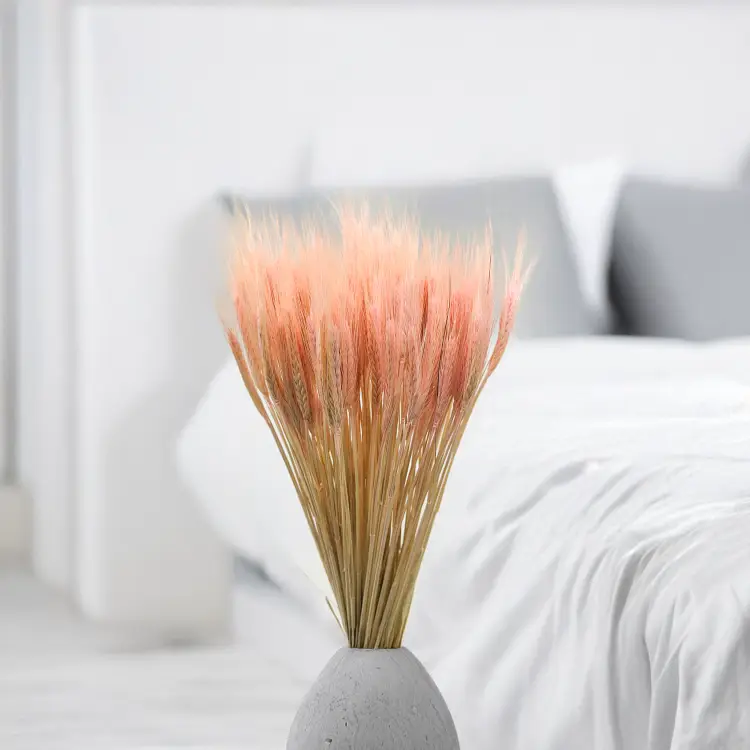 Pszenżyto suszone różowe triticale bukiet 2.png