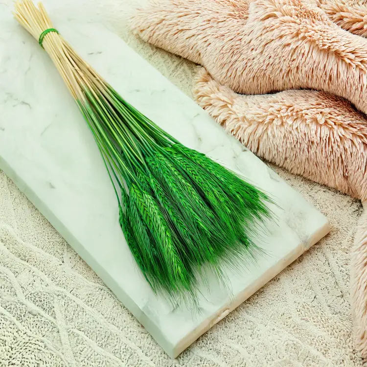 Pszenżyto zielone suszone kłosy bukiet 4.png