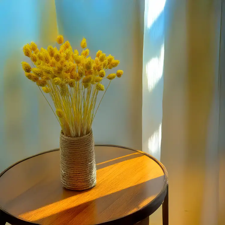 Suszony Phalaris - Kanar - (Mozga kanaryjska) - Żółty 2.png