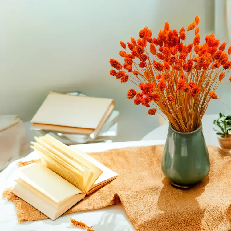 Kanar Phalaris Mandarynka 2.png