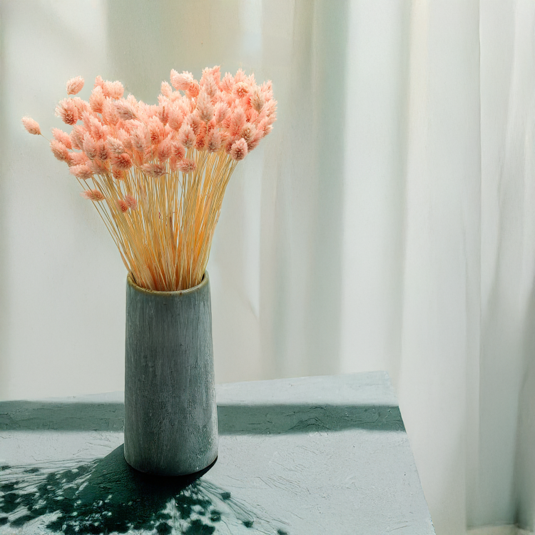 Suszony Phalaris - Kanar - (Mozga kanaryjska) - Łososiowy 1.png