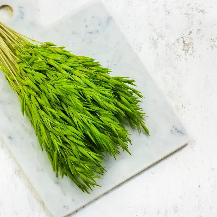 Owies suszony barwiony Jasnozielony seledynowy zielony 1.png