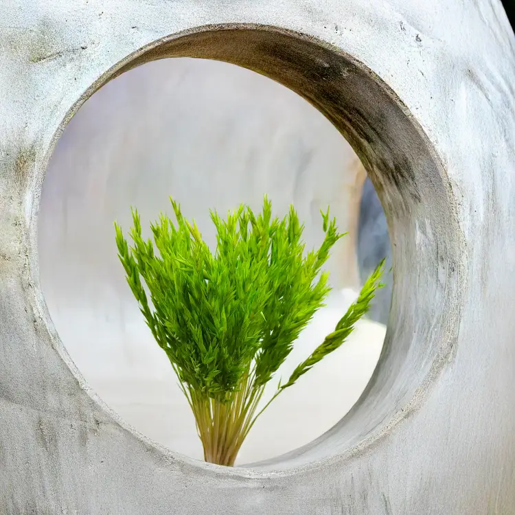 Owies suszony barwiony zielony 1.png