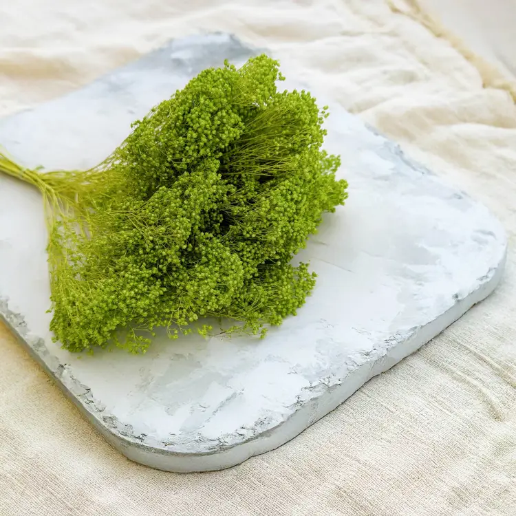 Broom Bloom zielony 2.jpg