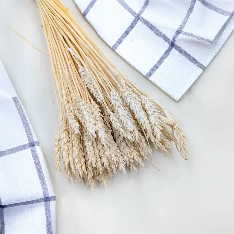 Pszenica suszona bielona 3.png