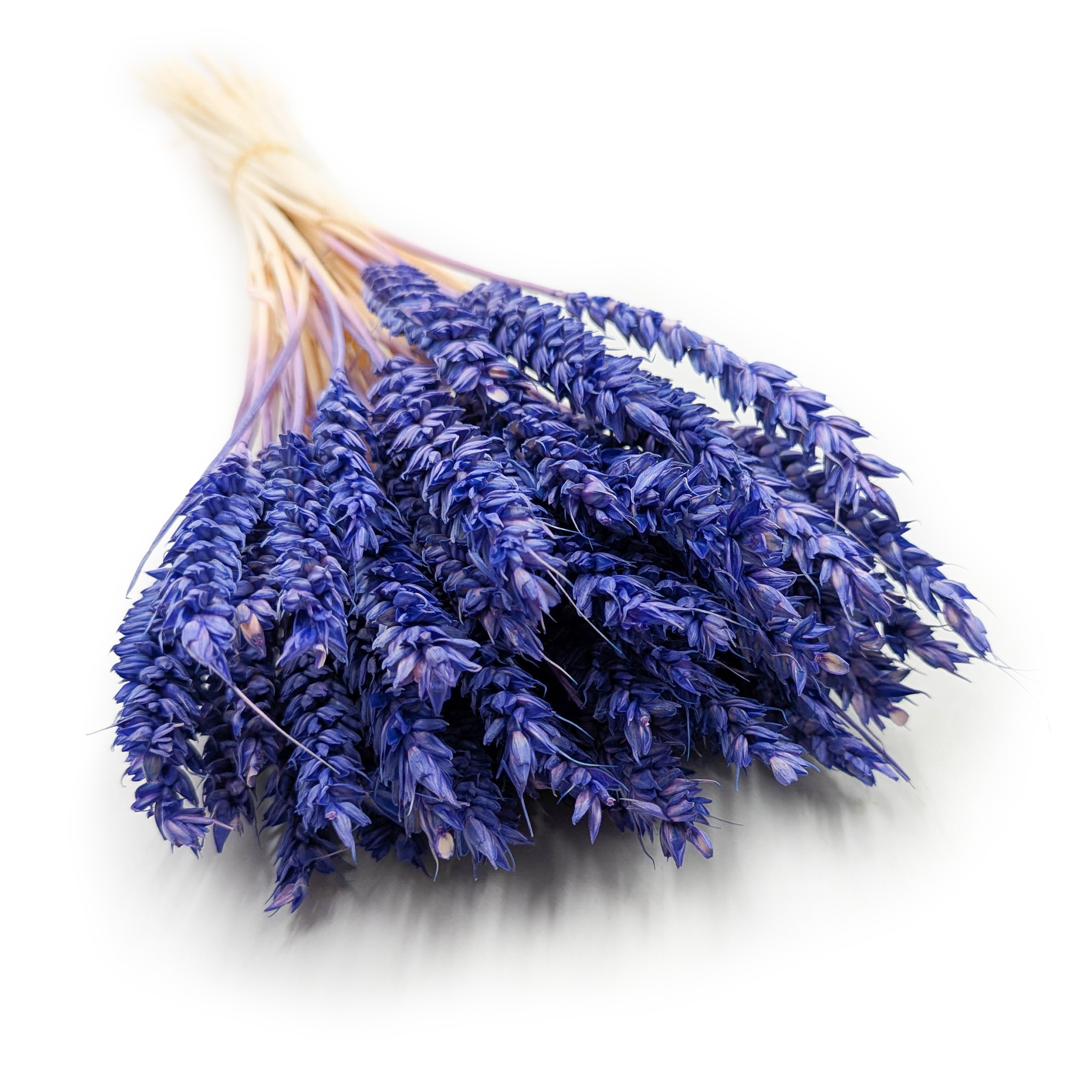 Suszona pszenica - Granat królewski