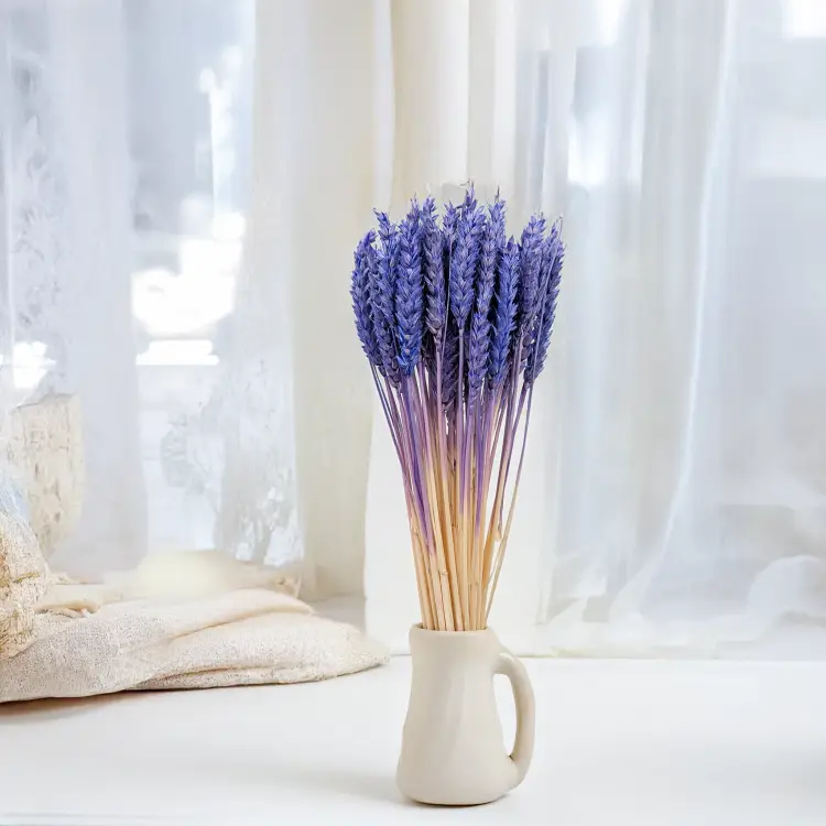 Pszenica suszona granatowa 5.png