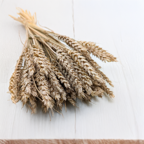 Pszenica suszona naturalna 1.png