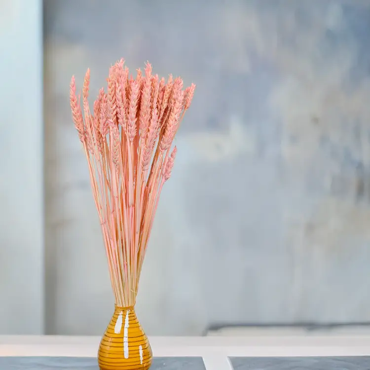 Pszenica suszona różowa 3.png