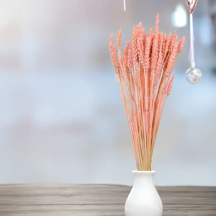 Pszenica suszona różowa 4.png