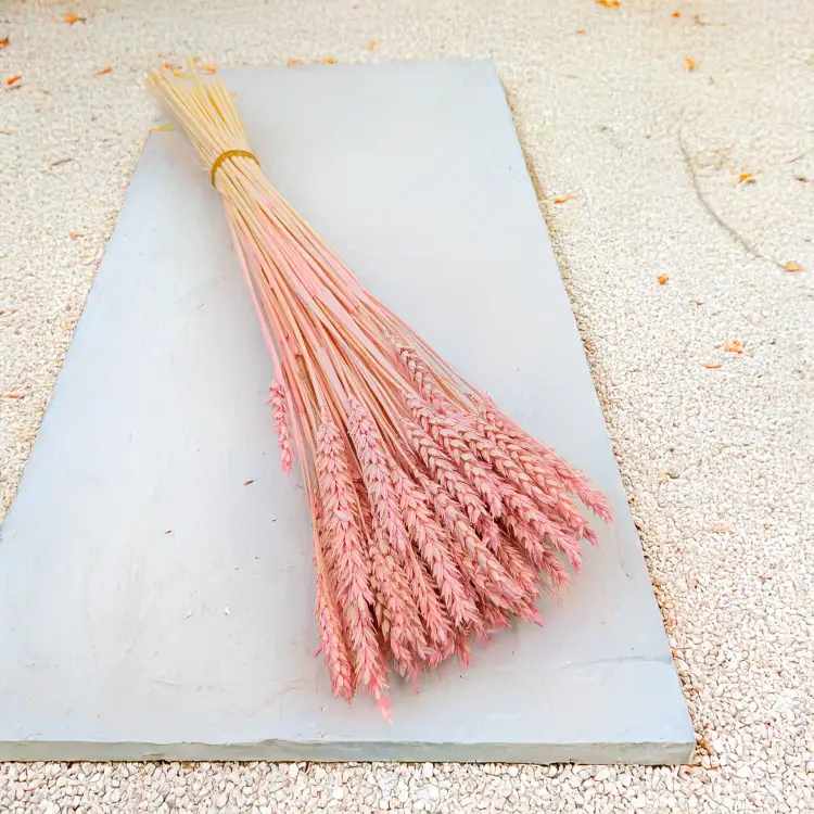 Pszenica suszona różowa 5.png