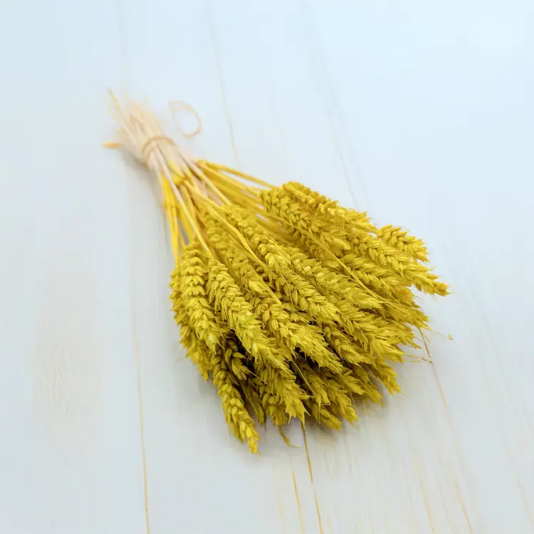 Pszenica suszona żółta 2.png