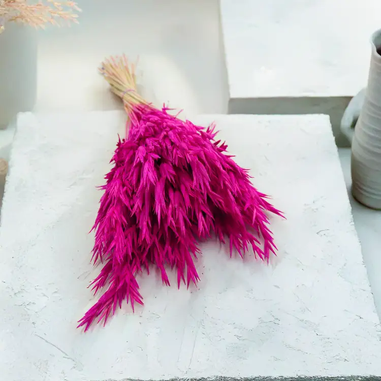 Owies suszony amarantowy 4.png