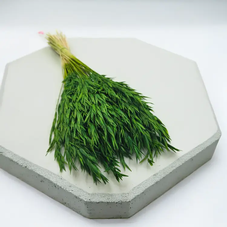 Owies suszony butelkowa zieleń 1.png