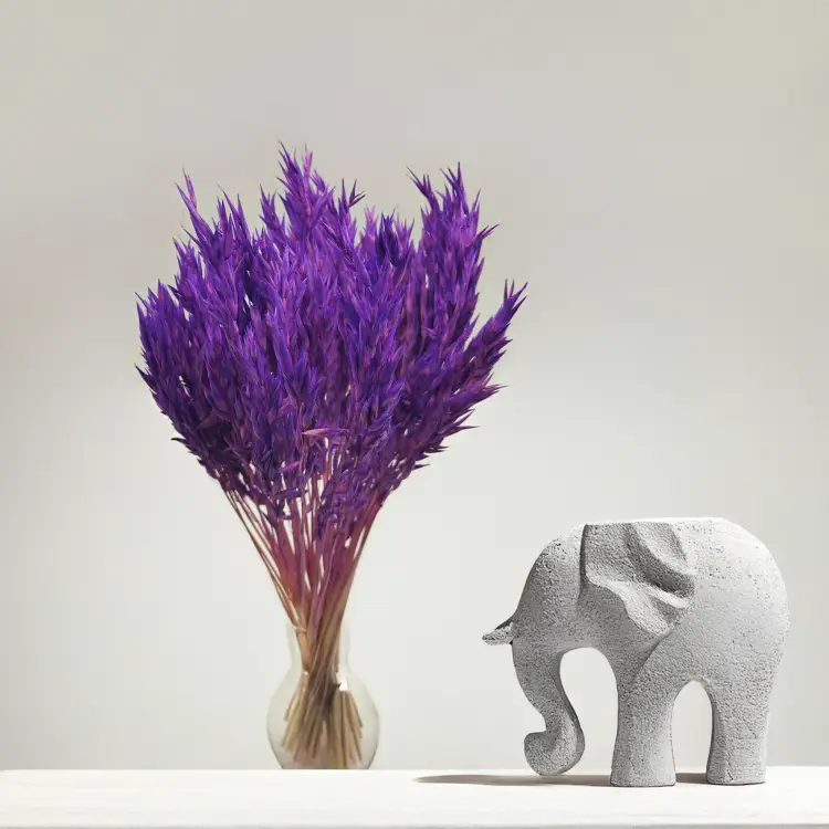 Owies suszony fioletowy 2.png