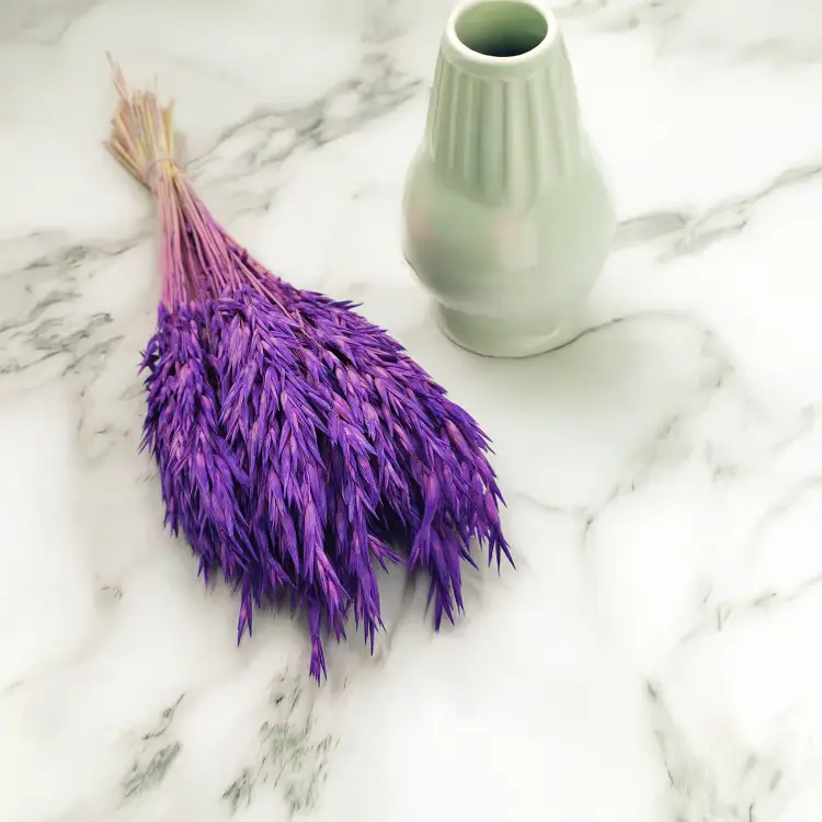 Owies suszony fioletowy 4.png