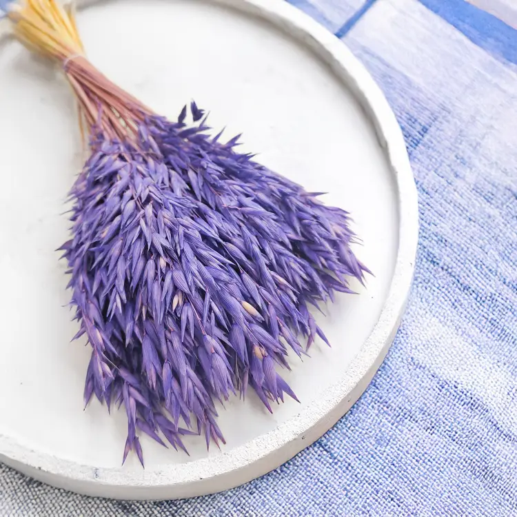 Owies suszony granatowy 2.png