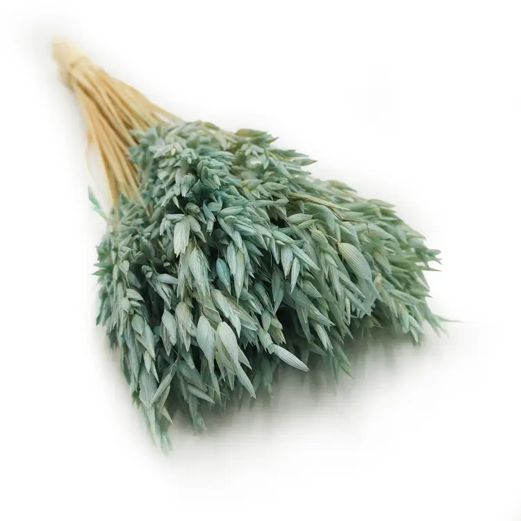 owies suszony miętowy 5.png