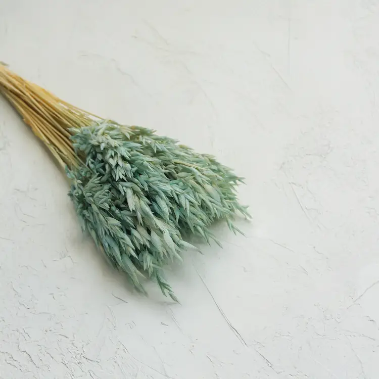 owies suszony miętowy 3.png