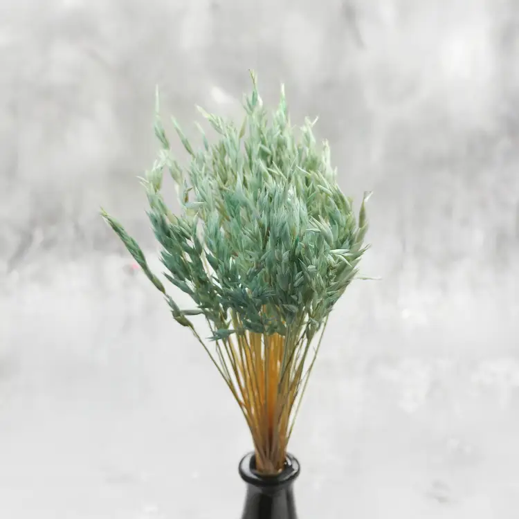 owies suszony miętowy 4.png