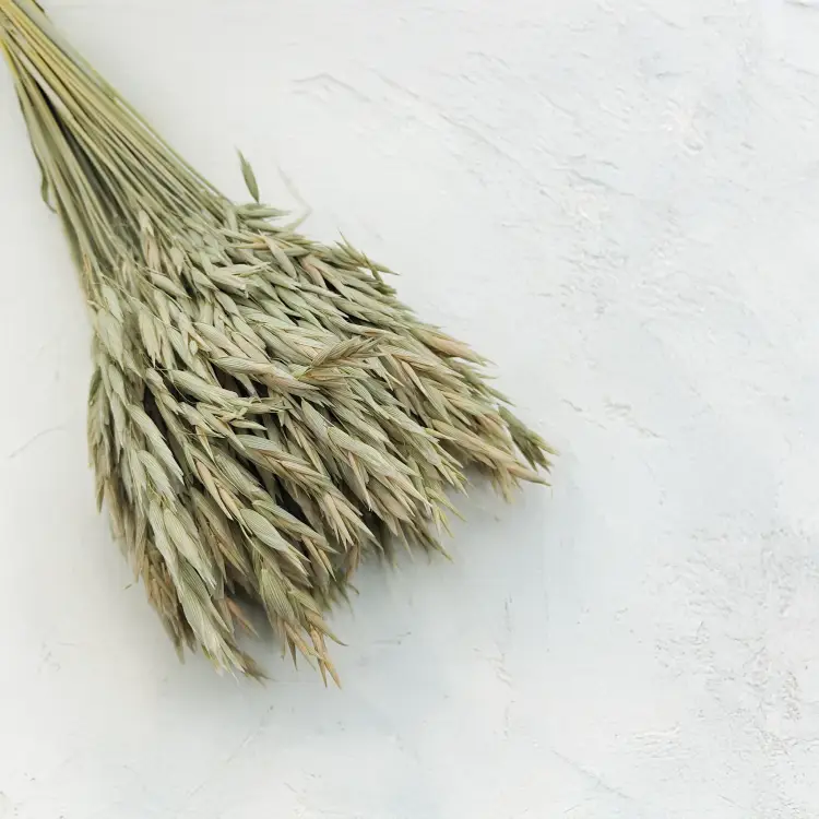 Owies suszony naturalny 1.png