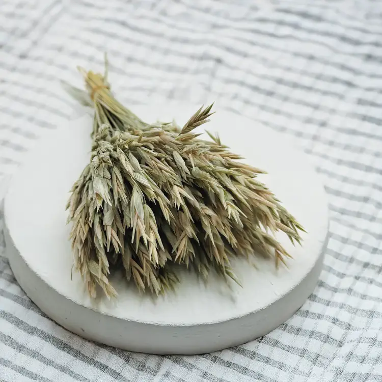 Owies suszony naturalny 2.png