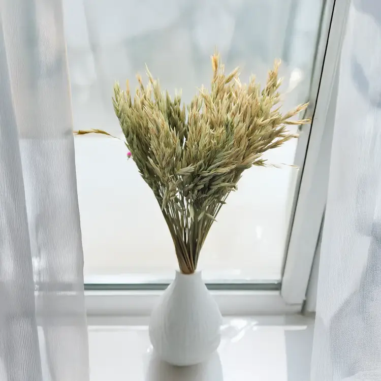 Owies suszony naturalny 3.png