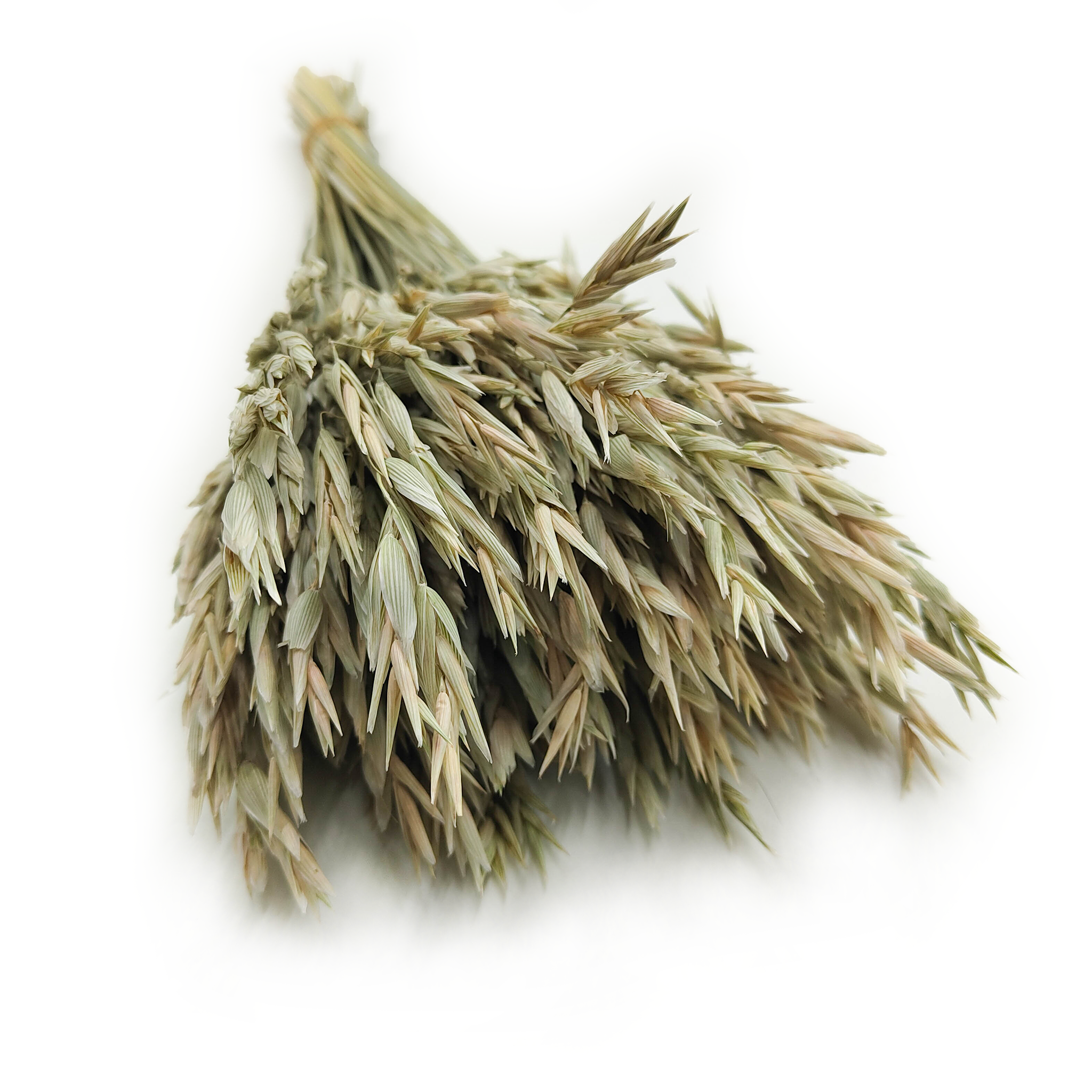 Owies Suszony - Naturalny