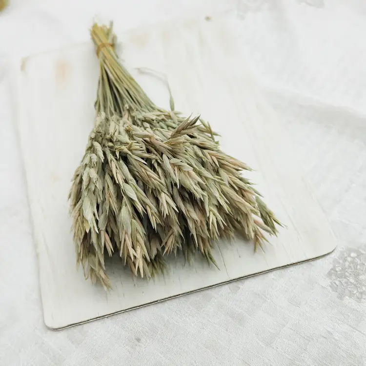 Owies suszony naturalny.png