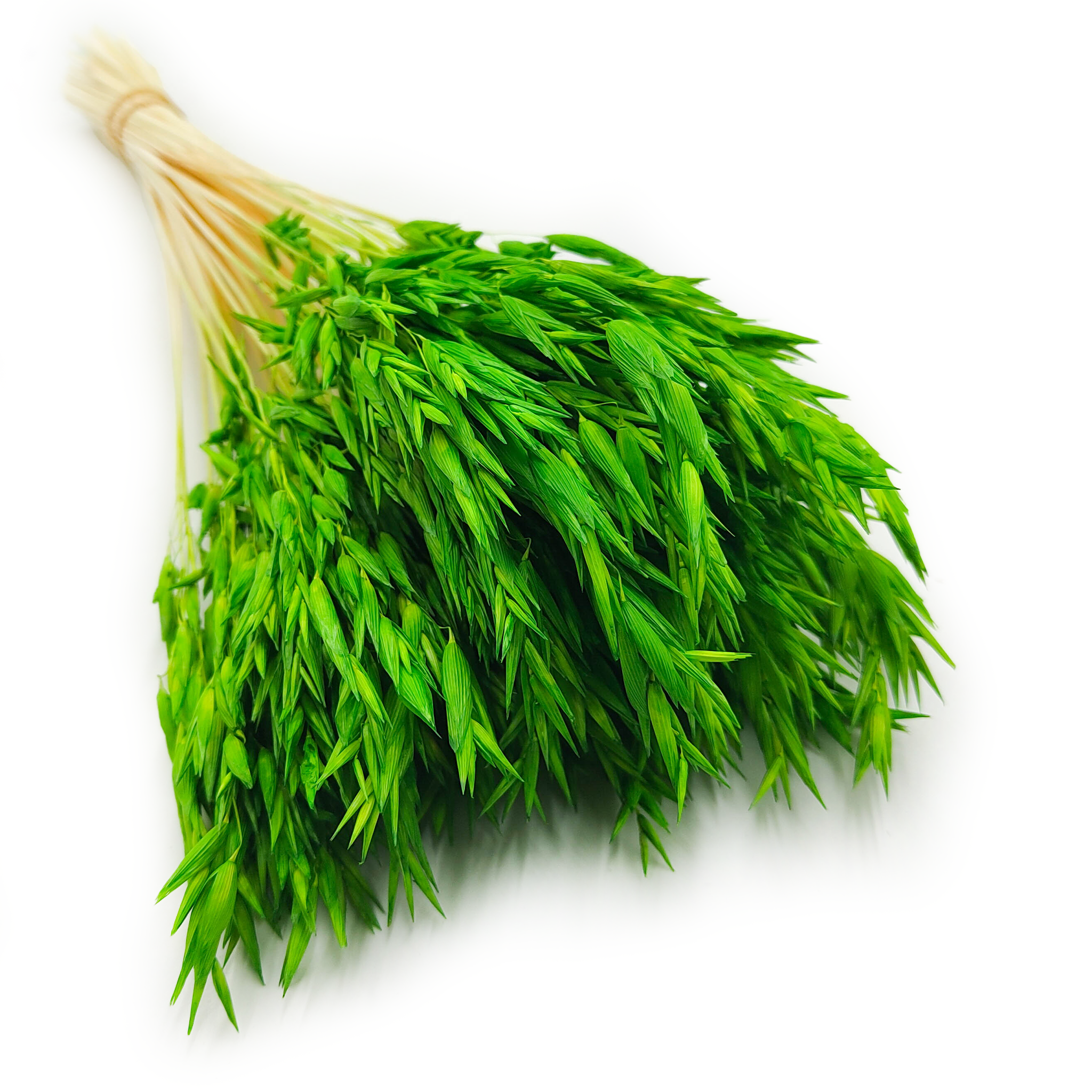 Owies Suszony - Zielony