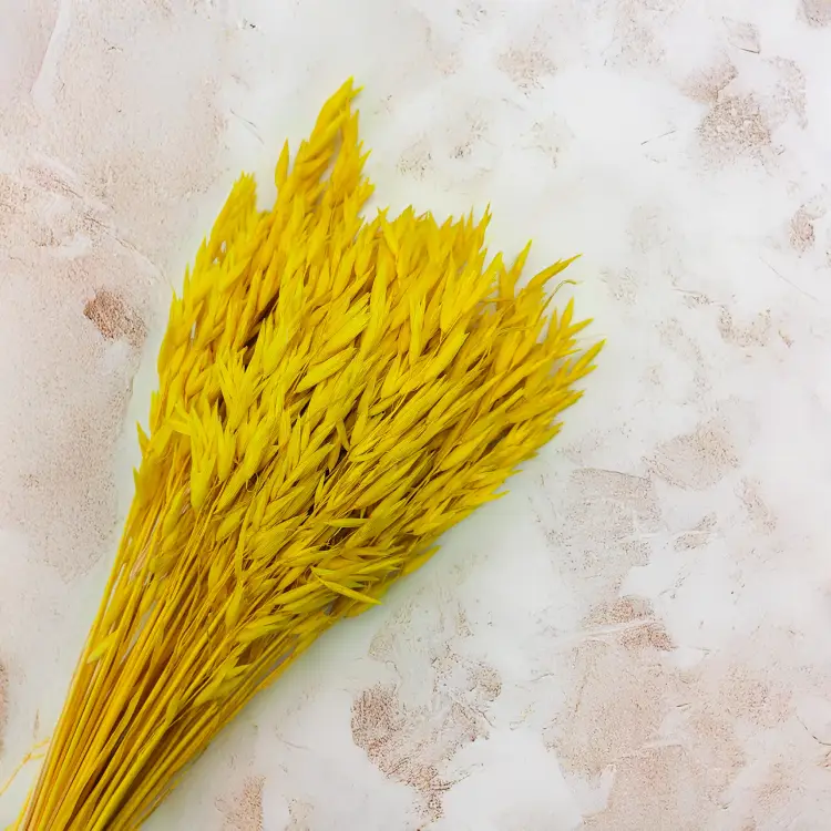 Owies żółty  suszony barwiony kłosy bukiet 3.png