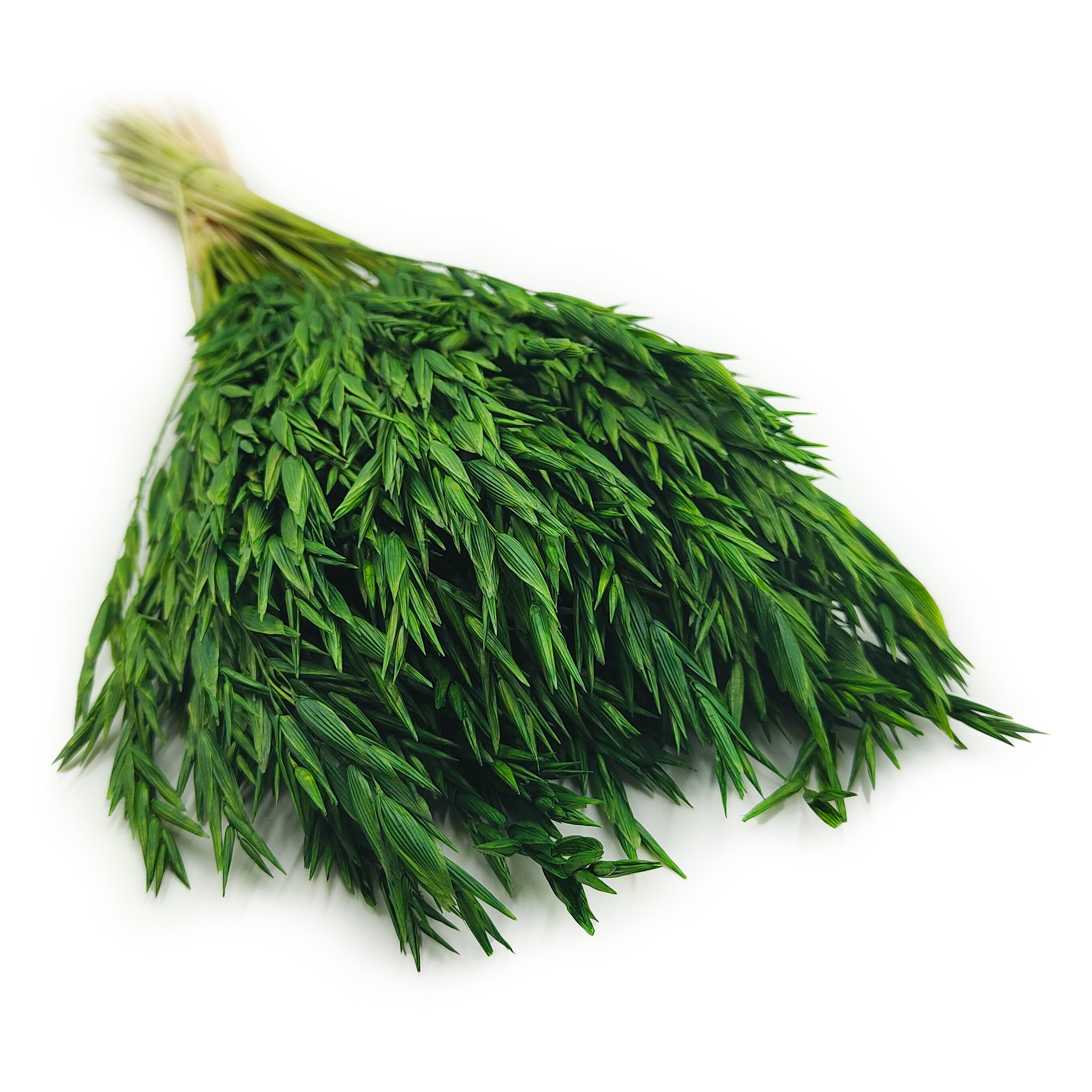 Owies Suszony - Butelkowa Zieleń