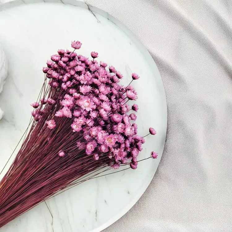 Glixia Różowa gliksja suszona kwiaty suszone bukiet 50g_86 3.png