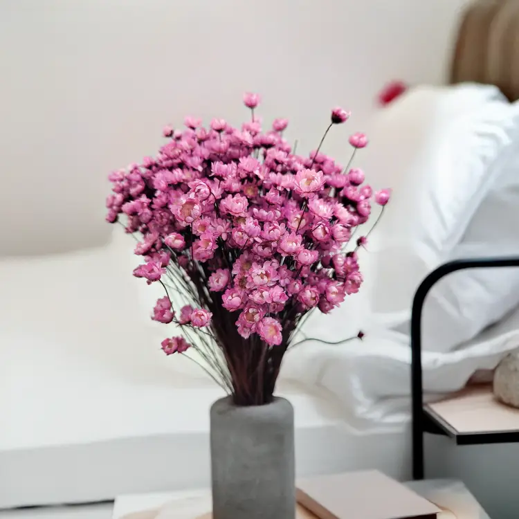 Glixia Różowa gliksja suszona kwiaty suszone bukiet 50g_86 1.png