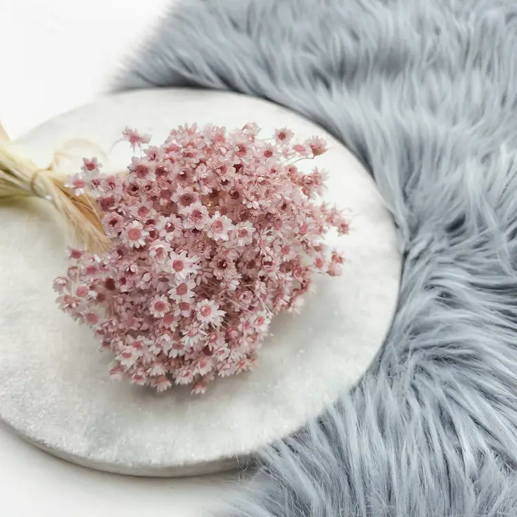 Glixia Jasny róż Pastelowy róż gliksja suszona kwiaty suszone bukiet 50g_F40 2.png