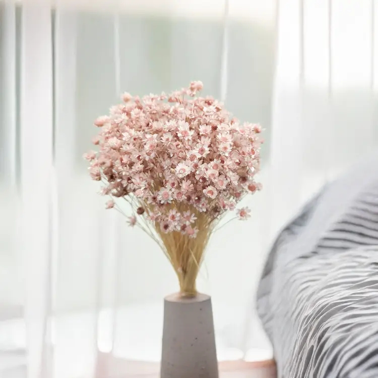 Glixia Jasny róż Pastelowy róż gliksja suszona kwiaty suszone bukiet 50g_F40.png