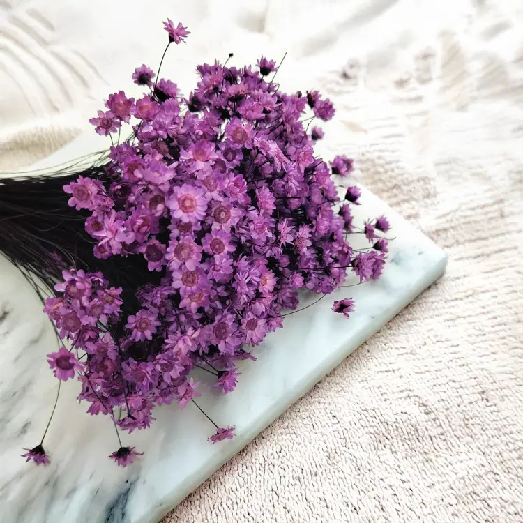 Glixia Lawendowa gliksja suszona kwiaty suszone bukiet 50g_80 3.png