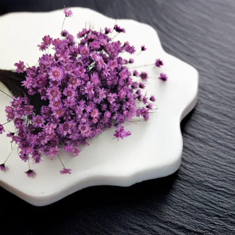 Glixia Lawendowa gliksja suszona kwiaty suszone bukiet 50g_80 2.png