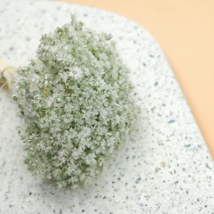 Glixia Miętowa gliksja suszona kwiaty suszone bukiet 50g_F60 2.png