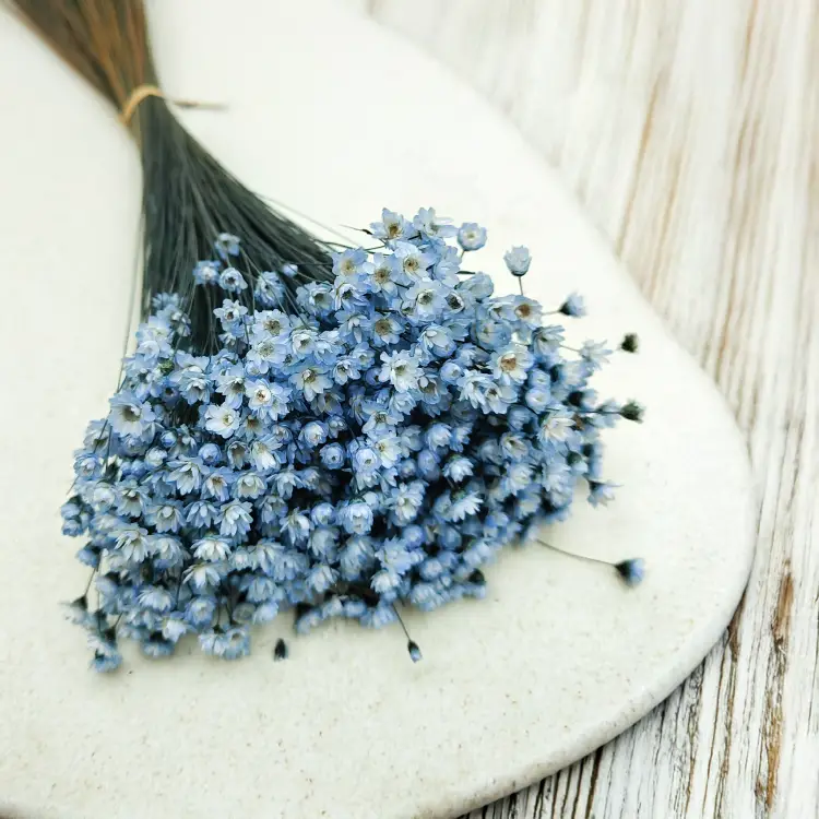 Glixia Niebieska gliksja suszona kwiaty suszone bukiet 50g_78 3.png