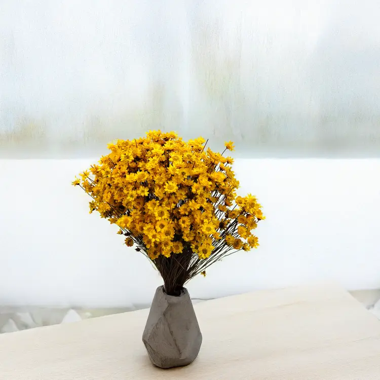 Glixia Żółta gliksja suszona kwiaty suszone bukiet 50g_12 1.png