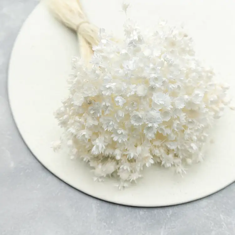 Glixia Bielona Gliksja bukiet 1.png