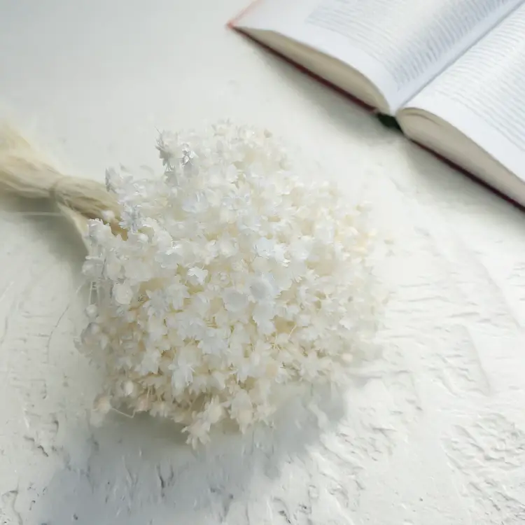 Glixia Bielona Gliksja bukiet 2.png