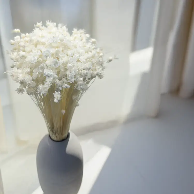 Glixia Bielona Gliksja bukiet 6.png