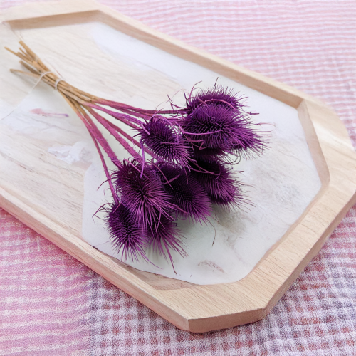 Oset fioletowy 2.png