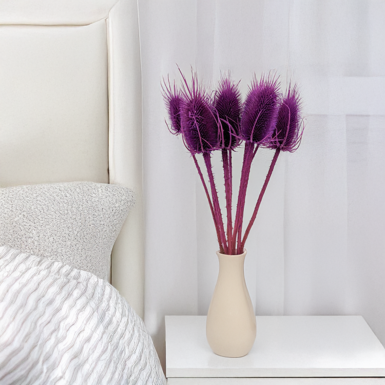 Oset fioletowy 4.png