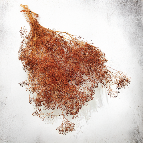 gips drobna brazowa 2.png