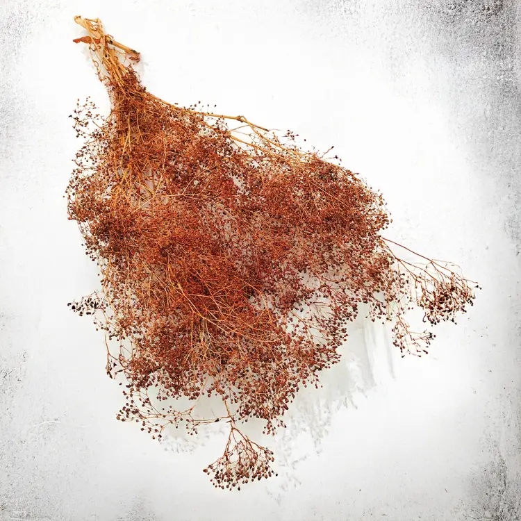 gips drobna brazowa 2.png