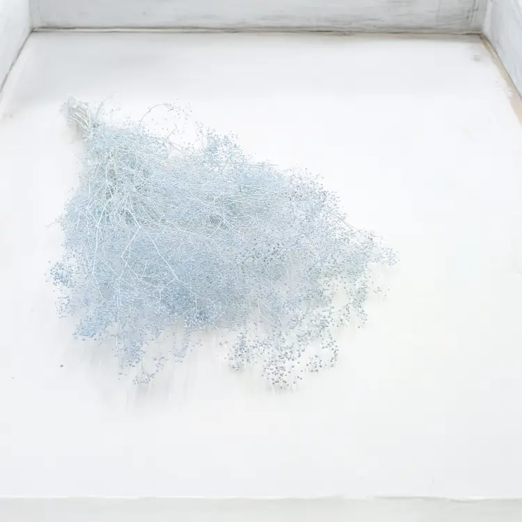 Gipsówka Stabilizowana Mini Drobna Niebieska 2.png